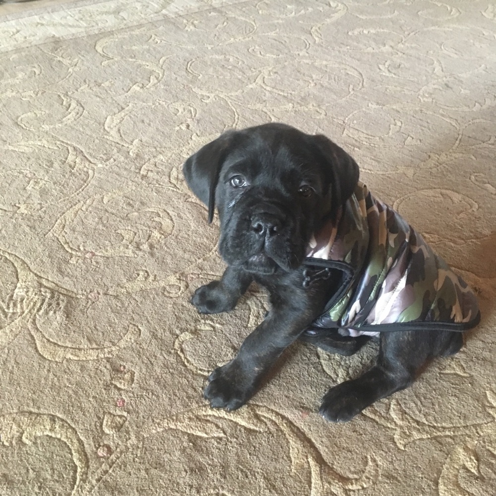 Meet your Posher, Clay